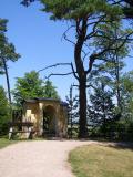 Horn park, lvka, 2006