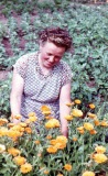 zahrada - Domov dchodc esk katolick Charity, kolem roku 1960