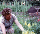 zahrada - Domov dchodc esk katolick Charity, kolem roku 1960