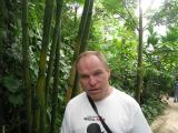 Mra mezi bambusy