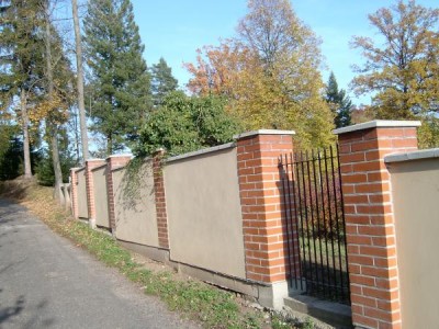 Břečťan popínavý- Hedera helix  na zdi zahrady  