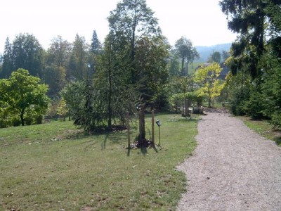 Horní park - pohled od lávky, 2005