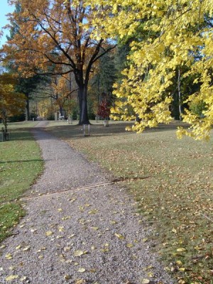 Horní zámecký park - přístup od brány, 2005