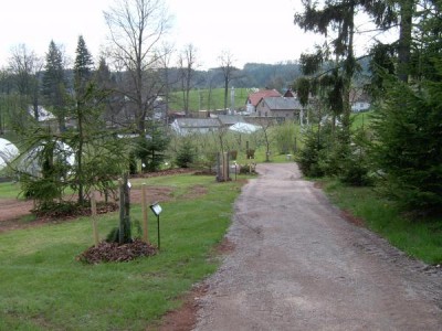 Horní zámecký park, 2005