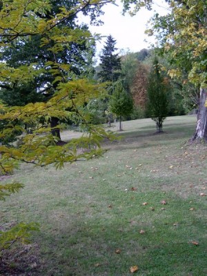 Horní zámecký park, 2005