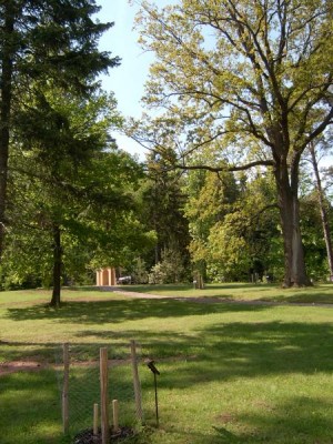 Horní zámecký park, 2005