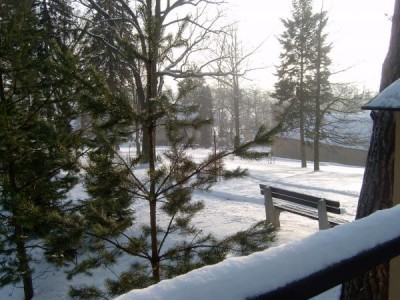 Horní zámecký park, 2006