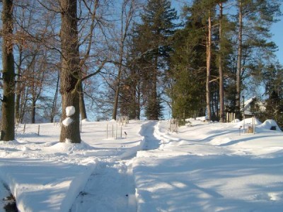 Horní zámecký park, 2006