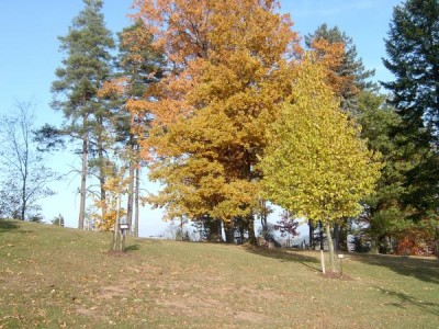 Horní zámecký park, podzim 2005
