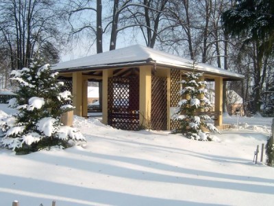 Jedle (Abies) - skupina za altánem,  zima 2006