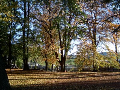 Park ve vnitřním areálu za budovou, 2004