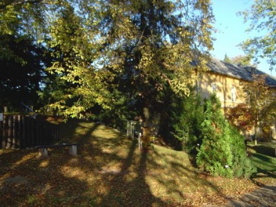 Park ve vnitřním areálu za budovou, 2004