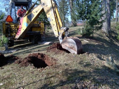 Přesazování vzrostlých dřevin, 2005