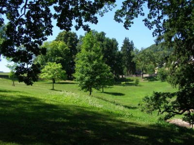 Dolní zámecký park, 2006