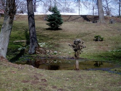 Dolní park, rybníček na jaře