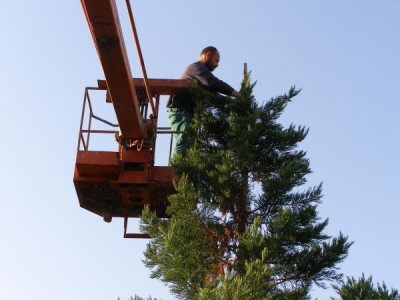 Parkový areál - údržba, 2006