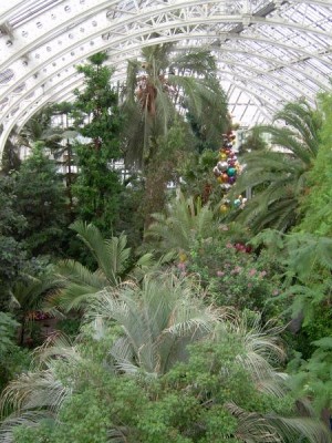 Royal Botanic Gardens, Londýn - Kew, 2005
