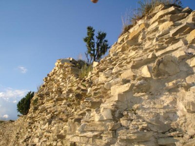 Jalovec - Juniperus hradby Lanšperk, 2005