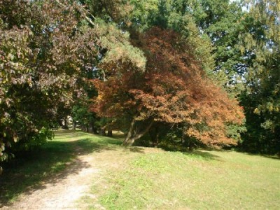 Zámecký park Žamberk 2007