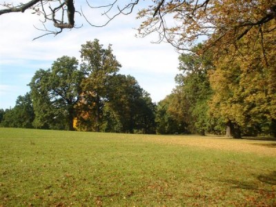 <p> Zámecký park Žamberk 2007</p> <p> </p> <p> </p> <p> </p> <p> </p> <p> </p> <p> </p>