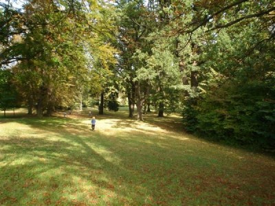 <p> Zámecký park Žamberk 2007</p> <p> </p> <p> </p> <p> </p> <p> </p> <p> </p> <p> </p>