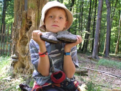 Buky (Fagus),   Státní přírodní rezervace,  Vysoké Chvojno