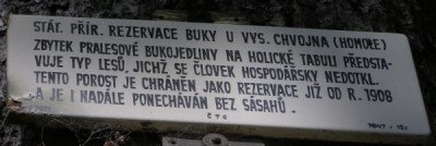 Buky (Fagus),   Státní přírodní rezervace,  Vysoké Chvojno