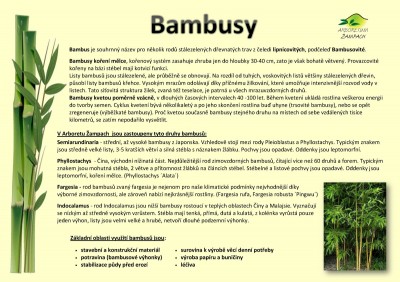bambusy_bazinna_cast_2013_026_big