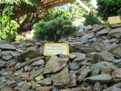 __zal.skalky_2008_34_big