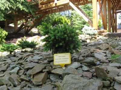 __zal.skalky_2008_35_big