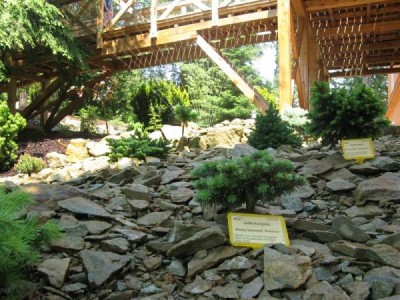 __zal.skalky_2008_36_big