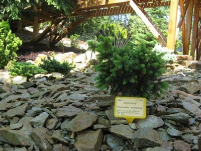 __zal.skalky_2008_38_big