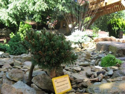 __zal.skalky_2008_39_big