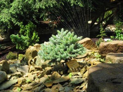 __zal.skalky_2008_42_big