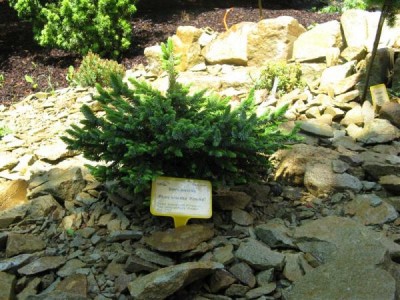 __zal.skalky_2008_43_big