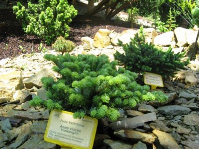 __zal.skalky_2008_44_big