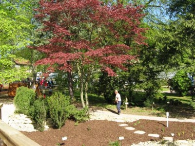 zal.skalky_2008_17_big