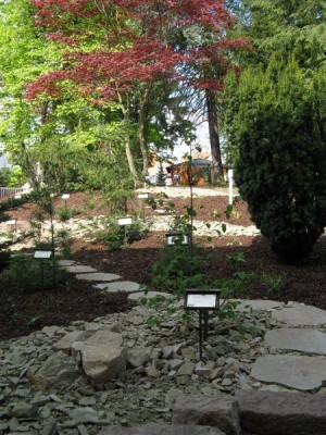 zal.skalky_2008_20_big