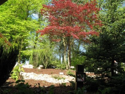 zal.skalky_2008_26_big