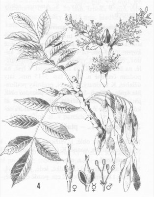 07-jasan_01_big