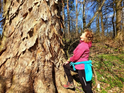 99-acer_pseudoplatanus_uo_2021_big