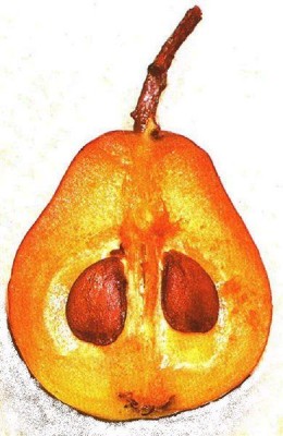 11-jerab_03_big