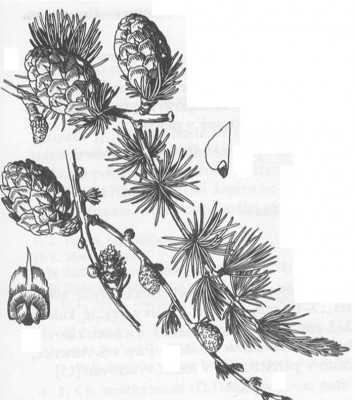 08-modrin_05_big