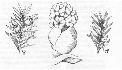 09-tis_01_big