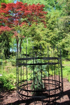 _3390073623645658321_o