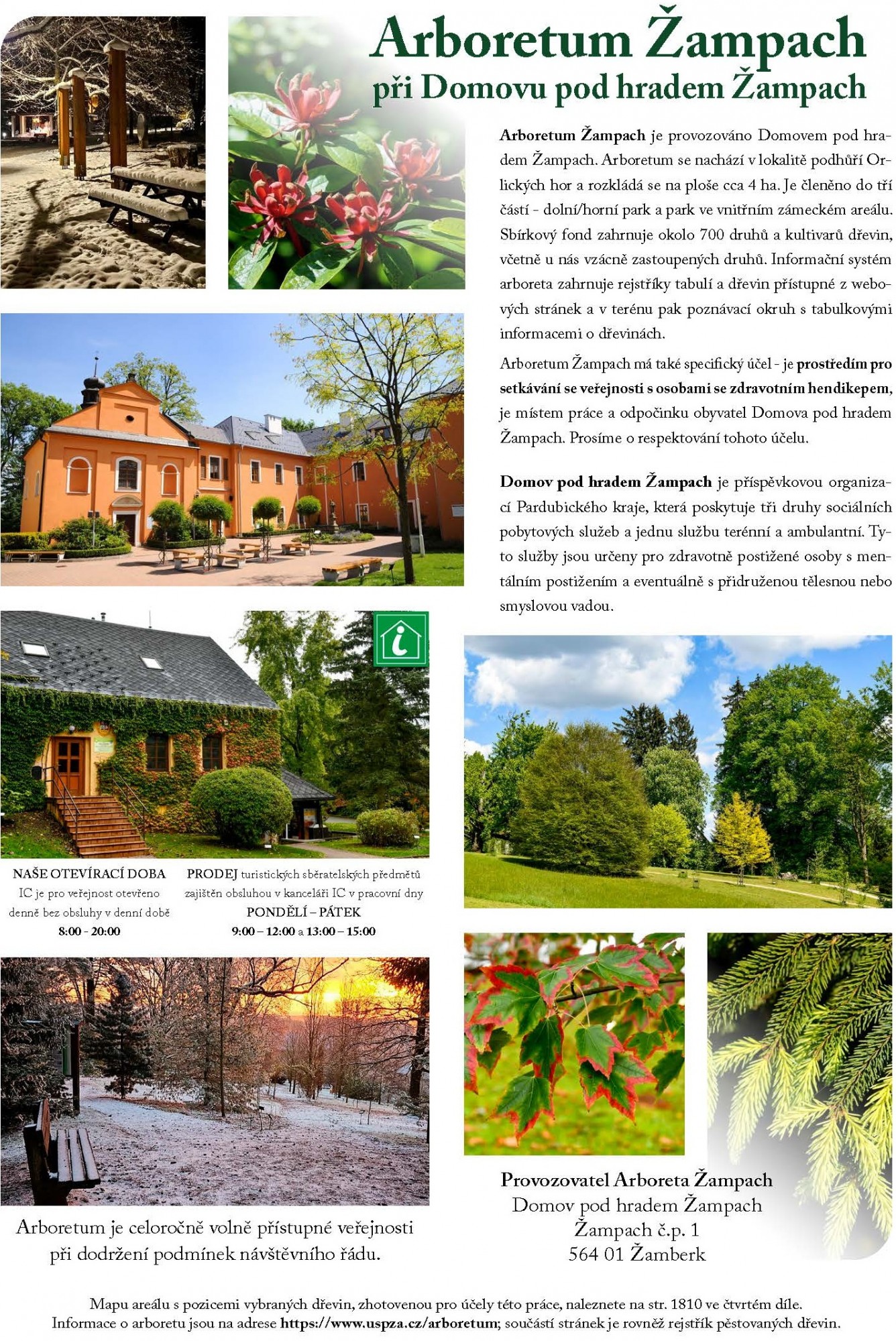 img_arboretum_zampach_upoutavka_stromy_cr_horacek.jpg
