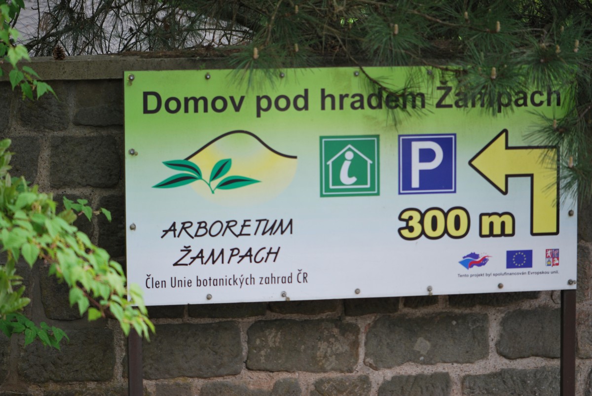 Slide 43
