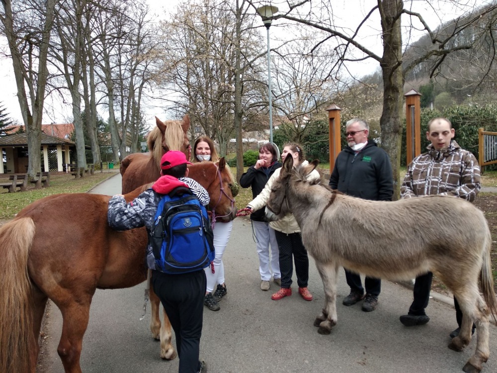 2021 Chov domcch zvat a zooterapie