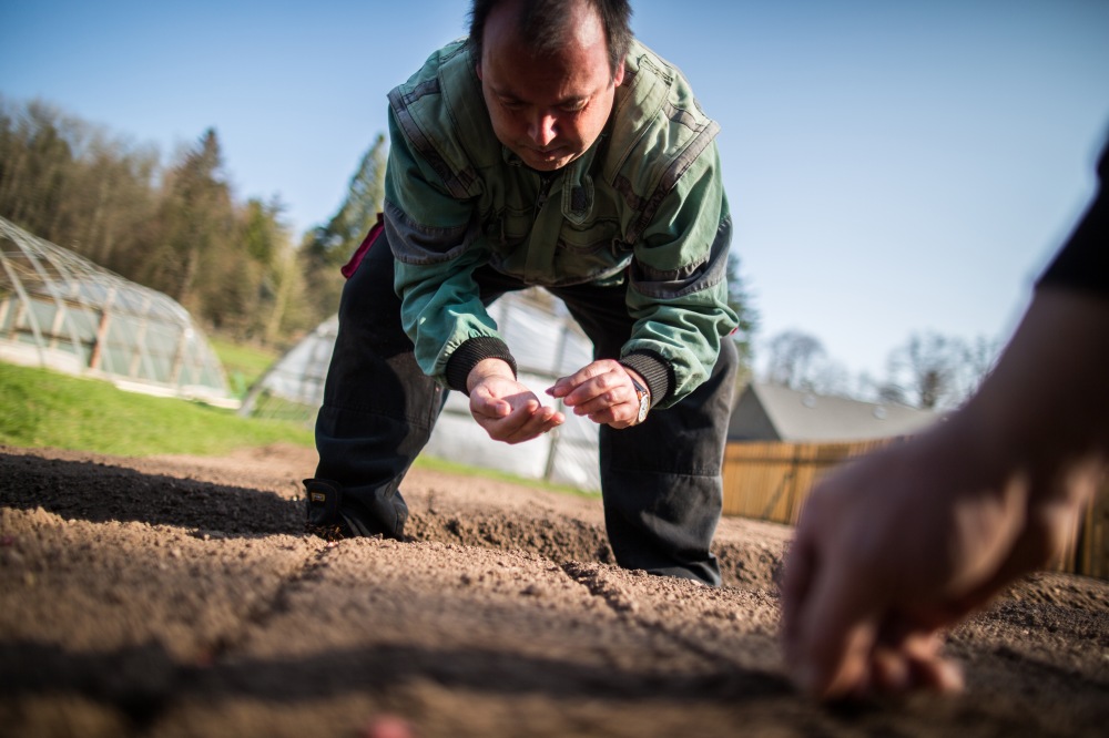 Tom Kubelka www.carokraj, 2019 Informan broura Pardubickho kraje k transformaci - fotografie