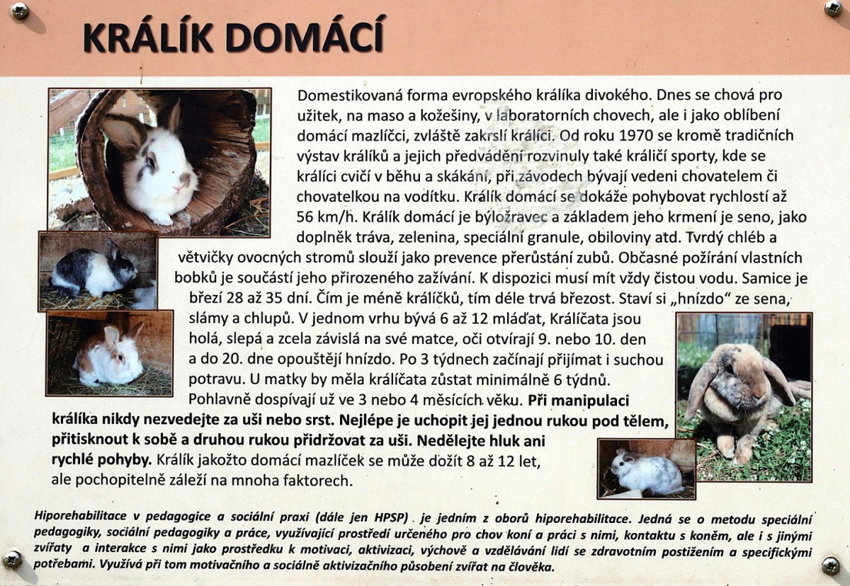 Slide 29